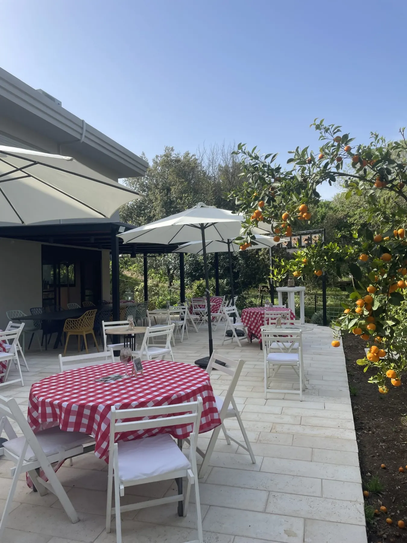 רגע מהאירוח ב־Wine Garden בתמרת